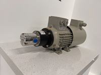 Mini pompe à engrenages magnétique avec moteur, micro pompe à eau en acier inoxydable 316L pour le transfert et la dosage de fluides