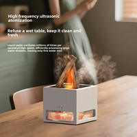 Nouvelle machine d'aromathérapie à flamme simulée en pierre de sel, humidificateur USB coloré pour la maison