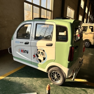 2024 New Model BrightGal 24V <b>2</b> <b>Passenger</b> Closed Mini Tricycle Brushless Motor 500W-800W Lead-acid Battery Disc Closed Three - Product Image 3