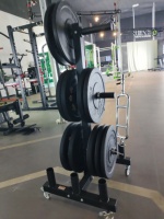Plaque de poids en acier pour le rangement des arbres pour la salle de sport à domicile Support de disque vertical pour haltères