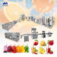 Automatische productielijn voor kleine schaal productie van vers sinaasappel-appel-lychee sap, Turkije
