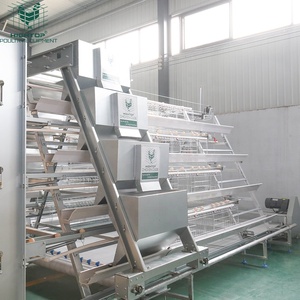Equipo Moderno para Granjas Avícolas, Jaula de Batería de Alta Densidad de 4 Niveles, Jaula Automática Tipo A para Gallinas Ponedoras, para 10000-20000 Pollos - Product Image 6
