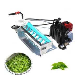 Bir adam operasyon tipi çay yaprakları yolma makinesi çay yaprağı kesme makinesi çay yaprağı Twister rulo makinesi küçük 2 zamanlı 525mm