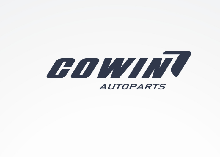 Rui'an Cowin Import And Export Co., Ltd. logo