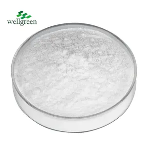 Wellgreen Main Export Product Supplement usa materia prima colecalciferolo vitamina D3 in polvere