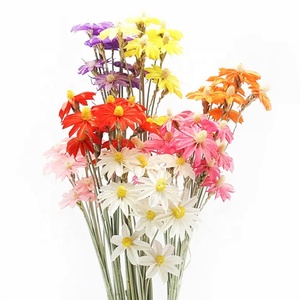 Vente en gros meilleure qualité bijoux artificiels préservés <span class=keywords><strong>orchid</strong></span>ées fleurs artificielles décoration de la maison fleurs séchées - Product Image 6