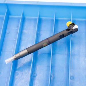 Diesel brandstof <span class=keywords><strong>common</strong></span> <span class=keywords><strong>rail</strong></span> <span class=keywords><strong>injector</strong></span> EJBR05501D voor vrachtwagen EU4 2.9L CRDI <span class=keywords><strong>injector</strong></span> 33800-4x450 - Product Image 3