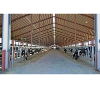 Abri de ferme en acier coloré résistant aux intempéries