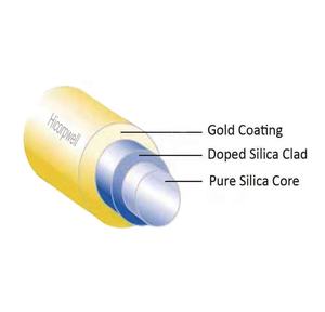 400 Serat Inti Um 0.22 NA Pregunta Sirve untuk Lipolisis 400/440/480P22 Kaca Berpakaian Silika Multimode Optik 400 Serat Inti Um - Product Image 6