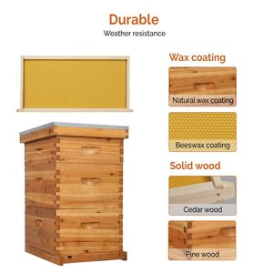 Hot Sale Wax Coated Wooden Bee Hive Boxes Complete Langstroth Beehive 10 <b>Frames</b> - Product Image 2