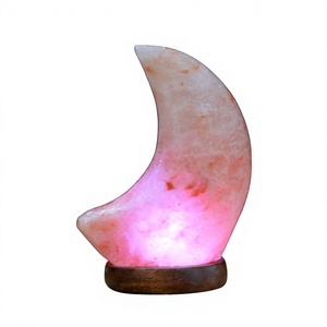 Lampe en sel rose de l'Himalaya 100% pur, qualité export premium, base en bois, mini lampe USB de haute qualité, écologique, Feng Shui - Product Image 1