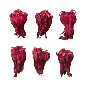 Cápsulas de Hibisco Sabdariffa Linn, Suplemento ODM OEM, Cápsulas de Flor de Hibisco Seca Orgánica para la Salud y el Sistema Inmunológico - Product Image 2