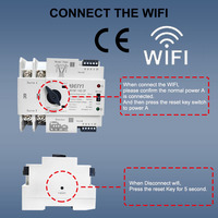 Interrupteur de transfert ATS OEM Din Rai WiFi intelligent à commande à distance 2P AC 220V 100A 50/60Hz pour générateur