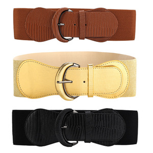 Ceinture décorative pour femme, nouvelle collection 2025, imprimé léopard, élastique, en cuir polyvalent, offre exclusive transfrontalière personnalisée - Product Image 3