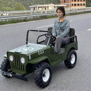 QIQU 30km/u All-Terrain Rijd-op-voertuig voor Attractieparken 48V 500W Motor 2-zits Volwassenen & Kinderen Commerciële Elektrische Mini Jeep - Product Image 1