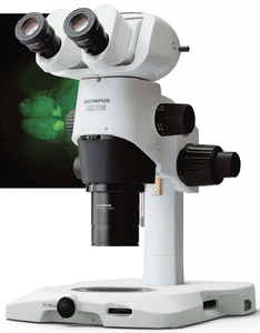 OL-SZX16-stereomicroscope-Huỳnh quang - Product Image 1