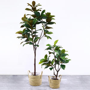 ต้นโอ๊กเทียมต้นโอ๊กประดิษฐ์ต้นโอ๊ก<span class=keywords><strong>บอน</strong></span>ไซจำลองต้นโอ๊กของตกแต่งบ้านในร่ม - Product Image 3