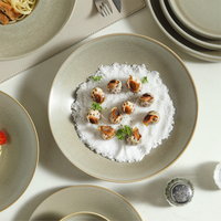 Assiette en céramique solide de luxe, finition mate gris-vert clair, entièrement en porcelaine, ensemble d'assiettes rondes pour dîner, pâtes/salade/viande grillée
