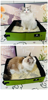 Bac à litière carré portable pour chat, toilette extérieure pliable, compatible voiture, design anti-éclaboussures, facile à nettoyer, manuel