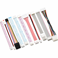 Rangkaian Kabel Adaptor Konektor Konduktor Tembaga Berlapis Timah Custom XPB 2/8-Pin dengan Selubung PTFE/Nylon/PVC/PBT untuk Komputer dan Sepeda Motor