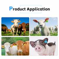 Etiquettes d'oreille personnalisables YUEDUN pour porcs, neuves, pour élevages, avec garantie de 3 mois, YDES014, étiquette d'oreille pour porcs