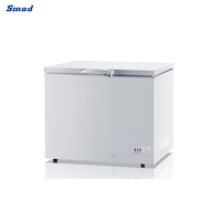 304L/473L/567L 12 ~ 24V DC meilleur prix congélateur à énergie solaire à dégivrage manuel pour DSC-350CE domestique (DC)