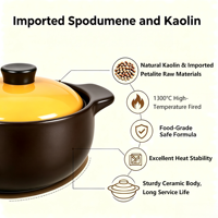 Olla de Cocina de 5.5L, Apta para Estufas sin Inducción, con Tapa de Cerámica, Resistente a Altas Temperaturas, Compatible con Estufas de Gas, Ecológica, Estilo Chino