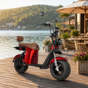 Scooter Todoterreno con Llantas Gruesas de 10 Pulgadas, Pantalla Digital, Motor sin Escobillas de 1000w, Batería de Litio de 40ah, Control Dual, 200kg X26 Precio - Product Image 1