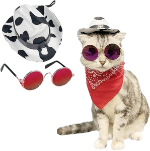 JXANRY Ensemble Chapeau, Lunettes et Bavoir pour Chat en Denim Polyester Écologique, Imprimé Léopard, Tenue de Saint-Valentin pour Animaux de Compagnie - Product Image 1