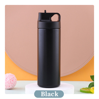 Bouteille d'eau isotherme classique en acier inoxydable Olerd 530 ml avec poignée, tasse de voyage moderne pour cadeaux d'affaires
