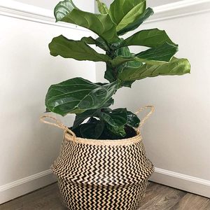 Artisanat jonc de mer panier de plantes noir Zigzag pour noir Zigzag pique-nique <span class=keywords><strong>Pots</strong></span> de plantes couverture tissé paille sac de plage avec poignées - Product Image 4