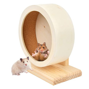 Roue de course pour rongeurs et hamsters, très vendue, pour petits animaux - Product Image 2
