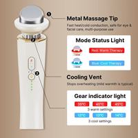 Rouleau facial et masseur oculaire USB rechargeable chaud/froid avec luminothérapie et application de glace pour réduire les poches et atténuer les cernes – Soin beauté