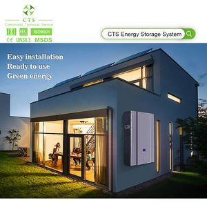 แบตเตอรี่ติดผนัง CTS 10kWh 51.2V 200Ah สำหรับเก็บพลังงานภายในบ้าน พร้อมระบบจัดการแบตเตอรี่อัจฉริยะ BMS CAN RS485 - Product Image 3