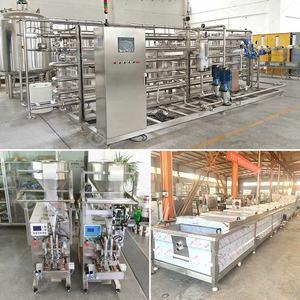 Ligne de production complète de transformation de la tomate en purée, entièrement automatique, mini, 100 kg/h, toutes les machines - Product Image 2