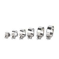 Colliers de serrage pour tuyaux en acier inoxydable 304/201, robustes, de style européen, à tête unique, vente en gros