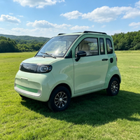Véhicule électrique compact L6e pour les marchés des permis de conduire des adolescents, micro-voiture urbaine 2 portes 2 places avec caméra de recul et feux LED