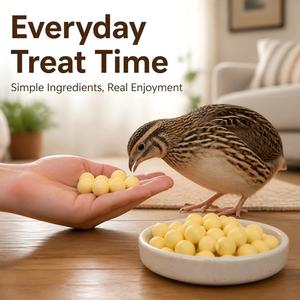 Vente directe usine – Friandises lyophilisées de haute qualité pour chats et chiens, jaune d'œuf de caille, OEM, riches en lécithine naturelle, protéines élevées, sans céréales - Product Image 3