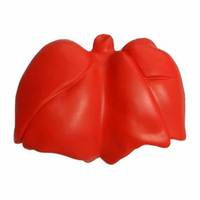Balle Anti-Stress Personnalisée Cœur Poumon Rein Foie Poitrine Organe en Mousse PU – Anti-Stress Organe Cœur Poumon Rein Poitrine