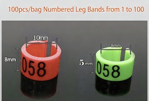 Duivenpootringen 8mm binnendiameter Eco Plastic Vogelpootbanden Papegaai Clipringen Digitale tags Fluorescerend groen12 - Product Image 2