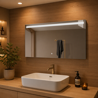 Miroir de baignoire E104H60100 TUV fabricant usine décoration murale désembuage anti-buée miroir led pour chambre toilette