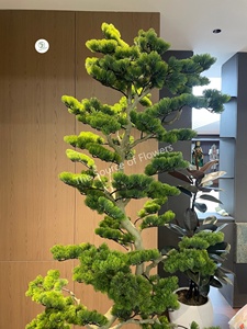 Hecho a mano 100% personalizado interior Artificial <span class=keywords><strong>rojo</strong></span> verde ciprés Pino certificado plástico bonsái árbol para cumpleaños árbol verde - Product Image 3