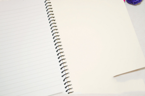 Cetak logo kustom Notebook komposisi murah rapat kantor dan sekolah buku catatan Spiral/Notebook latihan spiral - Product Image 2