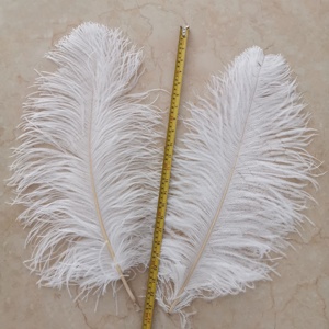 55-60Cm Plumas De Avestruz Số Lượng Lớn Màu Trắng Cực Lớn Lễ Hội Đà Điểu Cánh Lông Lông Chùm Cho Đảng Đám Cưới Trang Trí Sân Khấu - Product Image 4