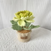 Pot de fleurs en laine crochetée à la main, pivoine, tricot artisanal haut de gamme, décoration d'intérieur, cadeau pour la fête des mères, la fête des enseignants, la Saint-Valentin, Noël