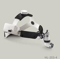 YSH Vétérinaire Simple et élégant Smart Pure blanc Double puissance Clinique d'hôpital vétérinaire intégrée Phare