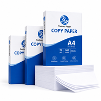 Feuilles de papier A4, papier pour impression et copie, papier A4 70 g/m² 500 feuilles, papier copie 70 g/m² - Blanc A4 70 g/m², 500 feuilles/rame