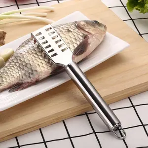 Raspadores de Escamas de Pescado de Acero Inoxidable al por Mayor, Herramienta para Eliminar la Piel Rápidamente, Accesorios de Cocina - Product Image 6