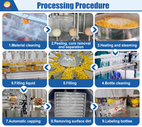Automatische Vruchten Perzik Ananas Peeling Coring Snijden Productielijn Ingeblikt Fruit Productielijn
