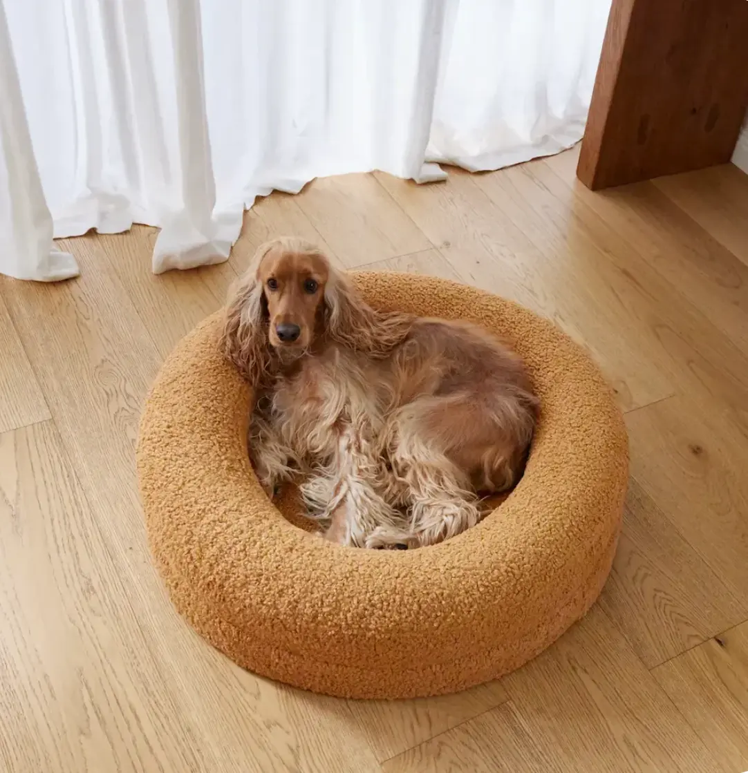 High Quality Custom Pet Nest With Boucle Cover Memory Foam Luxury Design Barney Bed Rounded Curl Pet Bed Orthopedic Dog Cat Bed